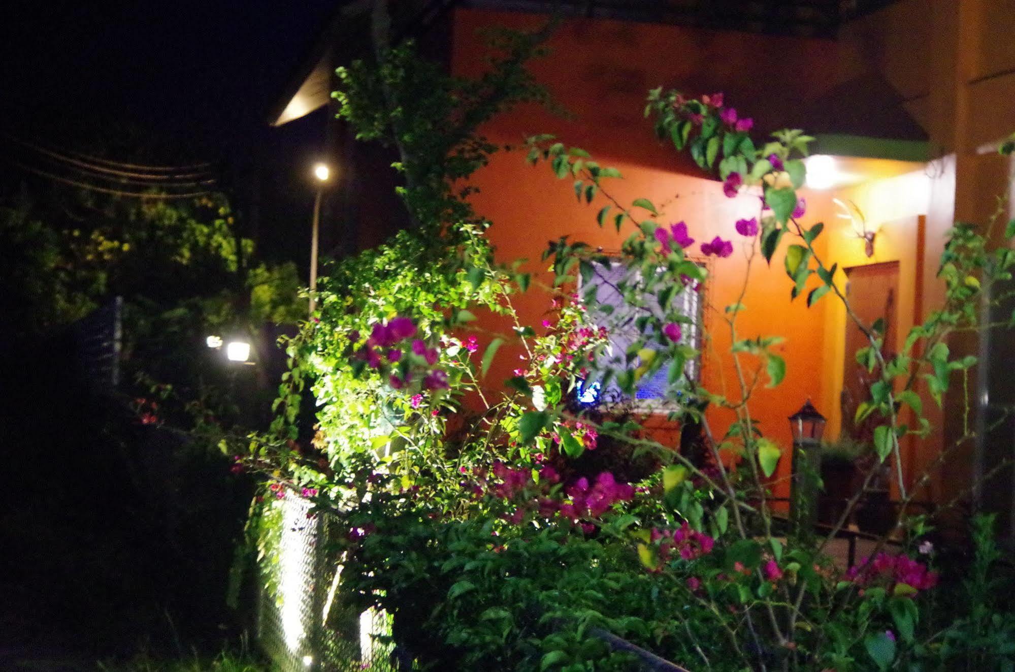 Taitung Lung Hill B&B المظهر الخارجي الصورة